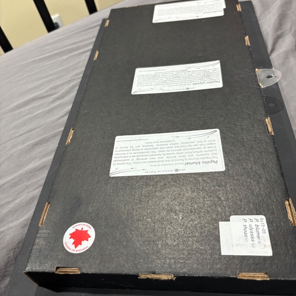 Colorful Butterfly Wall Art Decor - Picture 3 of 3